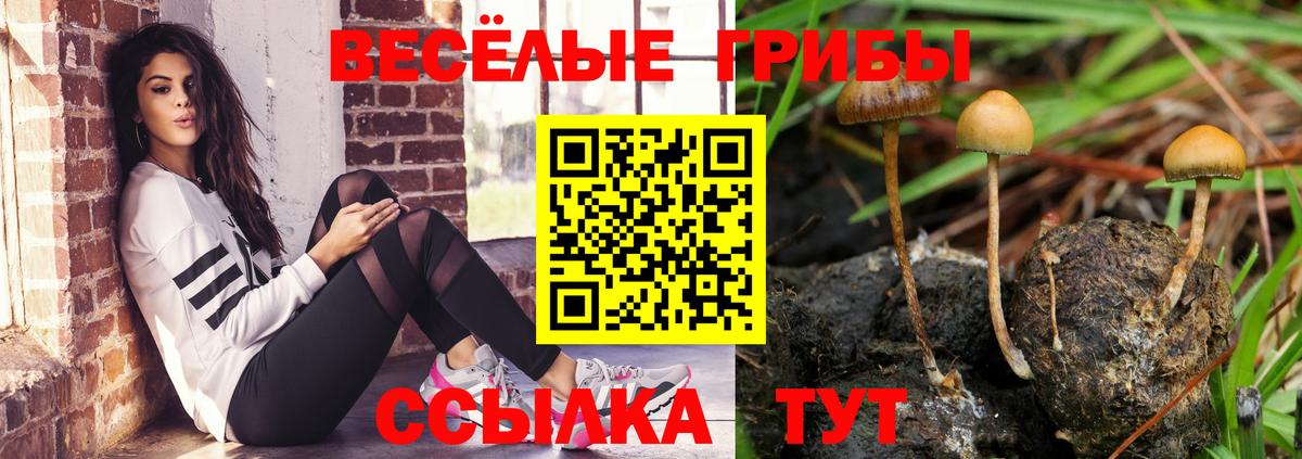 что такое наркотик  Вход с VPN  Первоуральск  Галлюциногенные грибы мицелий 