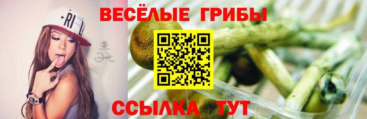 Галлюциногенные грибы прущие грибы Первоуральск